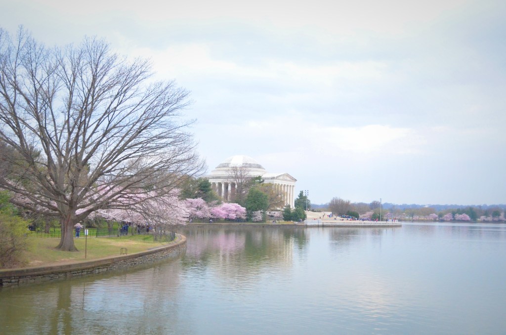 The Jefferson Monument in washington DC, washington, washington dc, washington dc travel, dc travel, dc blog, washington dc blog, dc travel blog, washington dc travel blog, what to see in dc, things to see in dc, dc travel photography, washington dc travel photography, memorials and monuments, washington dc monuments, dc monuments, jefferson, thomas jefferson, thomas jefferson memorial, jefferson memorial,