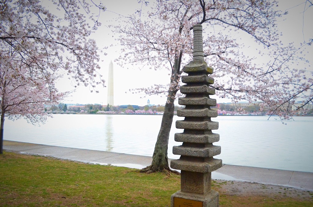 Washington monument in background with reflection in river basin framed by cherry blossoms with a japanese pagoda in the foreground, washington dc, travel photographer, cherry blossoms, travel, travel blogger, japanese cherry blossoms, japan, japanese, travel photography, architectural photography, pagoda, washington monument,