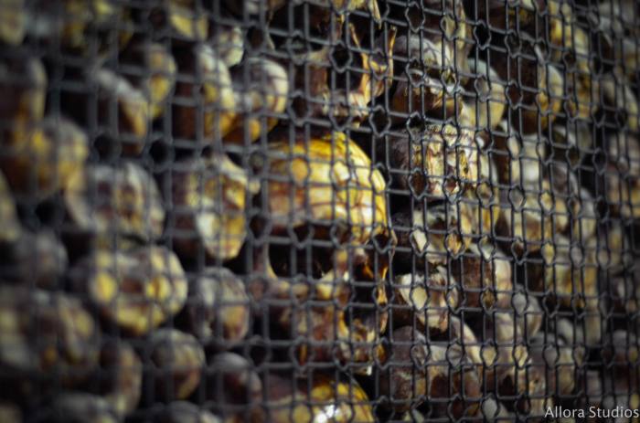 milano, milan, milano photography, milan photography, milan duomo, milan cathedral, milan castle, Sforza castle, castle in milan, castle in milano, photography, travel photography, travel photographer, travel blog, travel blogger, atlanta photographer, atlanta photography, leonardo, leonardo da vinci, vittorio emanuele iii, san bernardino, ambrosia, ambrosiana, travel blog photographer, traveling, milan at night, milano by night,