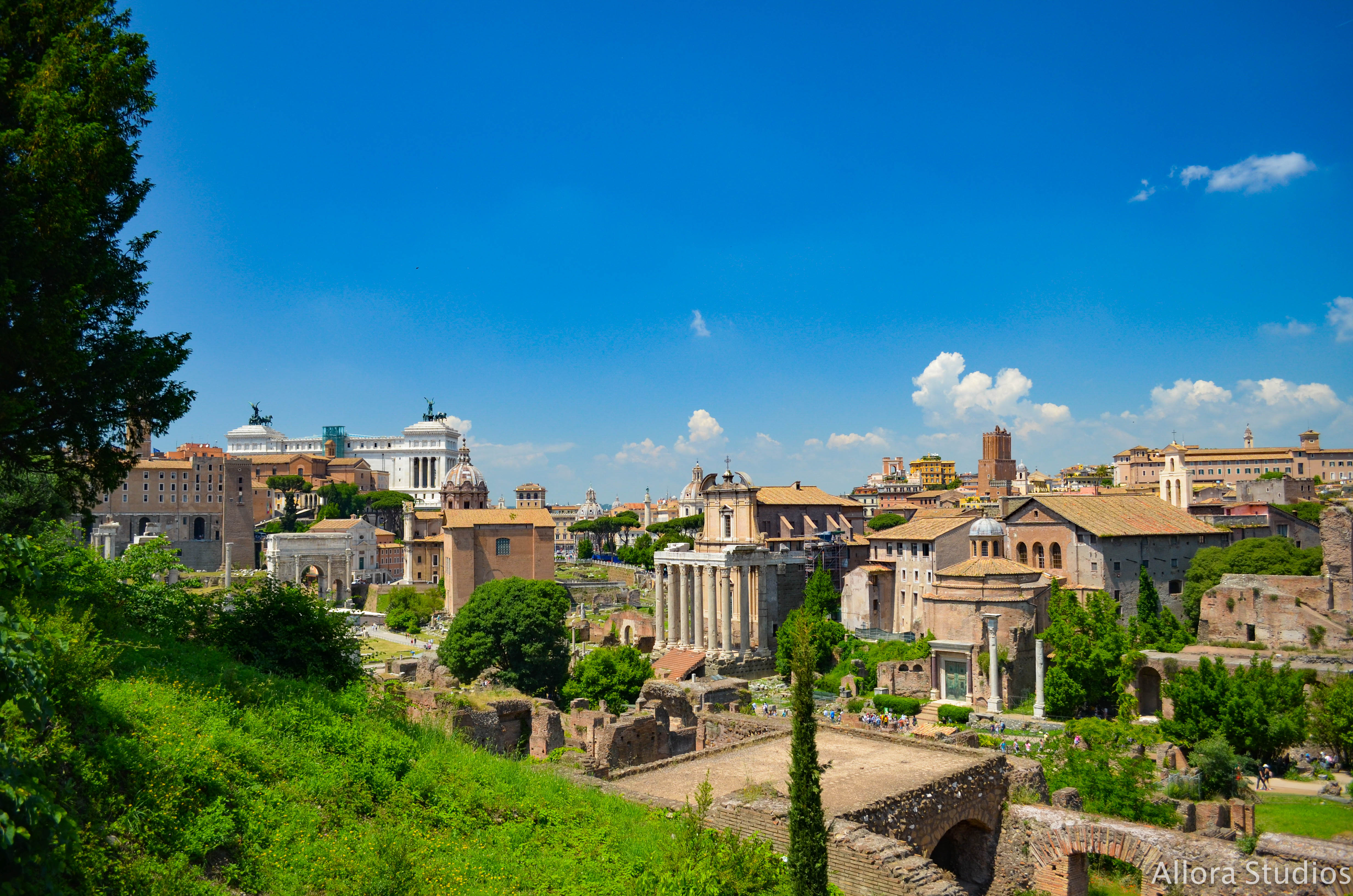 roman, roman architecture, roman ruins, rome, roma, roma italy, palatine hill, roman forum, roman forum photography, roman forum pictures, roman forum images, arch, arches, roman structures, italy, italian, italian winery, italiano, italiana, italia, travel photography, travel, travel hack, travel hacking, travel affordability, affording travel, budget traveling, traveling, world traveling, photographer, travel photographer, photography, travel photography, atlanta photography, atlanta photographer, architectural photography, architectural photographer, italian photography, photography italia, allora studios,