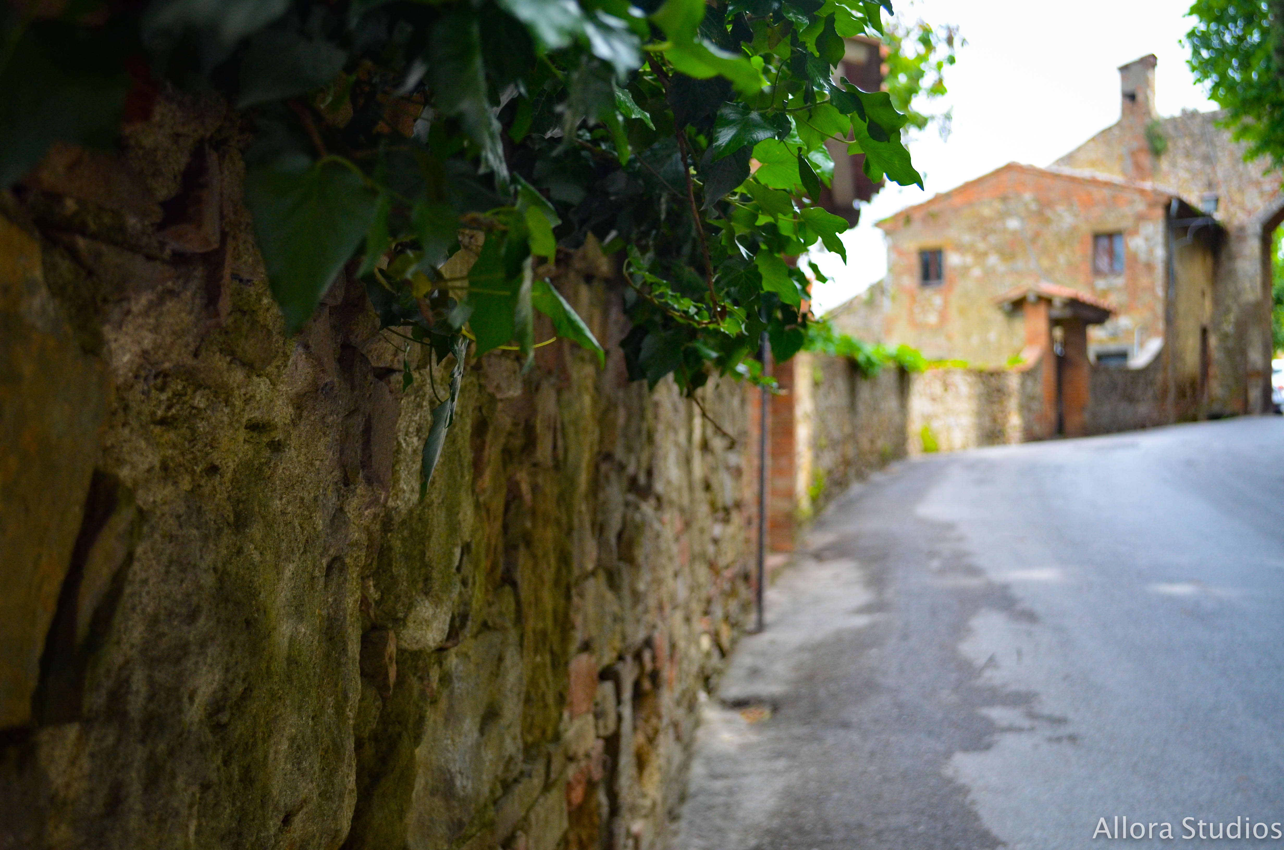 tuscan winery, tuscany, tuscan, tuscana, tuscan wine, tuscan winery, vino tuscano, vino tuscana, vino, osteria, italy, italian, italian winery, italiano, italiana, italia, travel photography, travel, travel hack, travel hacking, travel affordability, affording travel, budget traveling, traveling, world traveling, photographer, travel photographer, photography, travel photography, atlanta photography, atlanta photographer, architectural photography, architectural photographer, italian photography, photography italia, allora studios,