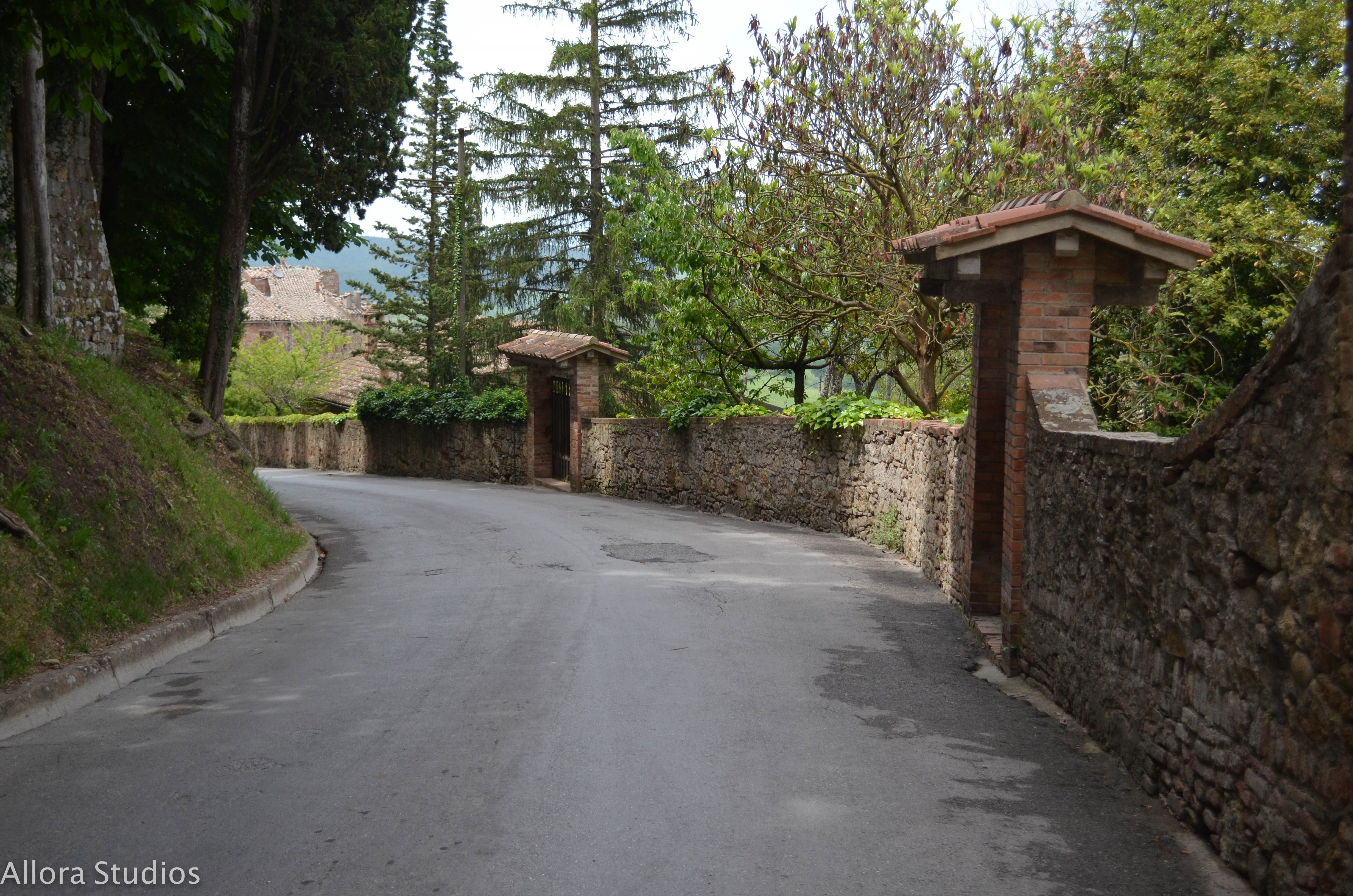 tuscan winery, tuscany, tuscan, tuscana, tuscan wine, tuscan winery, vino tuscano, vino tuscana, vino, osteria, italy, italian, italian winery, italiano, italiana, italia, travel photography, travel, travel hack, travel hacking, travel affordability, affording travel, budget traveling, traveling, world traveling, photographer, travel photographer, photography, travel photography, atlanta photography, atlanta photographer, architectural photography, architectural photographer, italian photography, photography italia, allora studios,