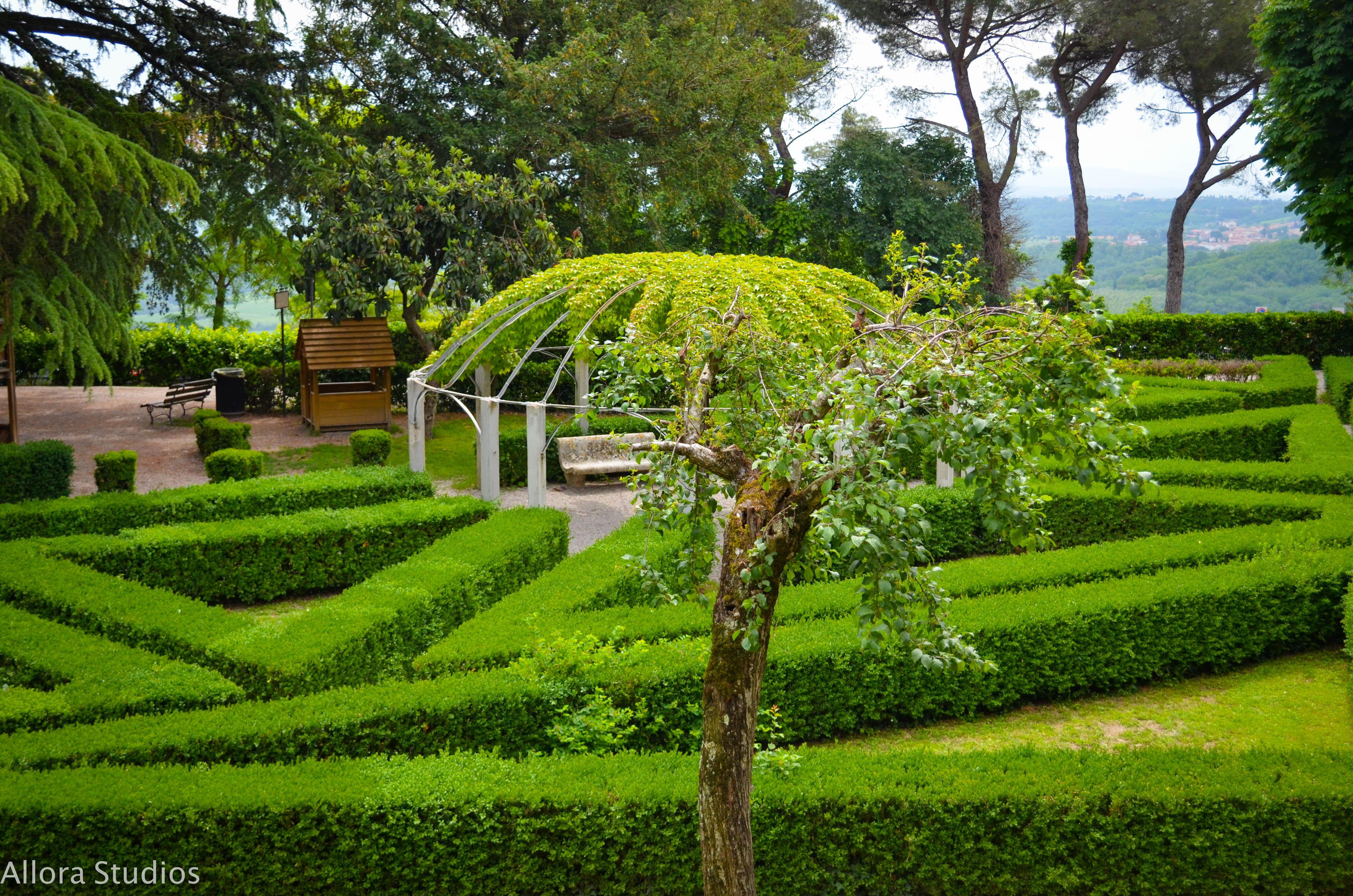 tuscan winery, tuscany, tuscan, tuscana, tuscan wine, tuscan winery, vino tuscano, vino tuscana, vino, osteria, italy, italian, italian winery, italiano, italiana, italia, travel photography, travel, travel hack, travel hacking, travel affordability, affording travel, budget traveling, traveling, world traveling, photographer, travel photographer, photography, travel photography, atlanta photography, atlanta photographer, architectural photography, architectural photographer, italian photography, photography italia, allora studios,