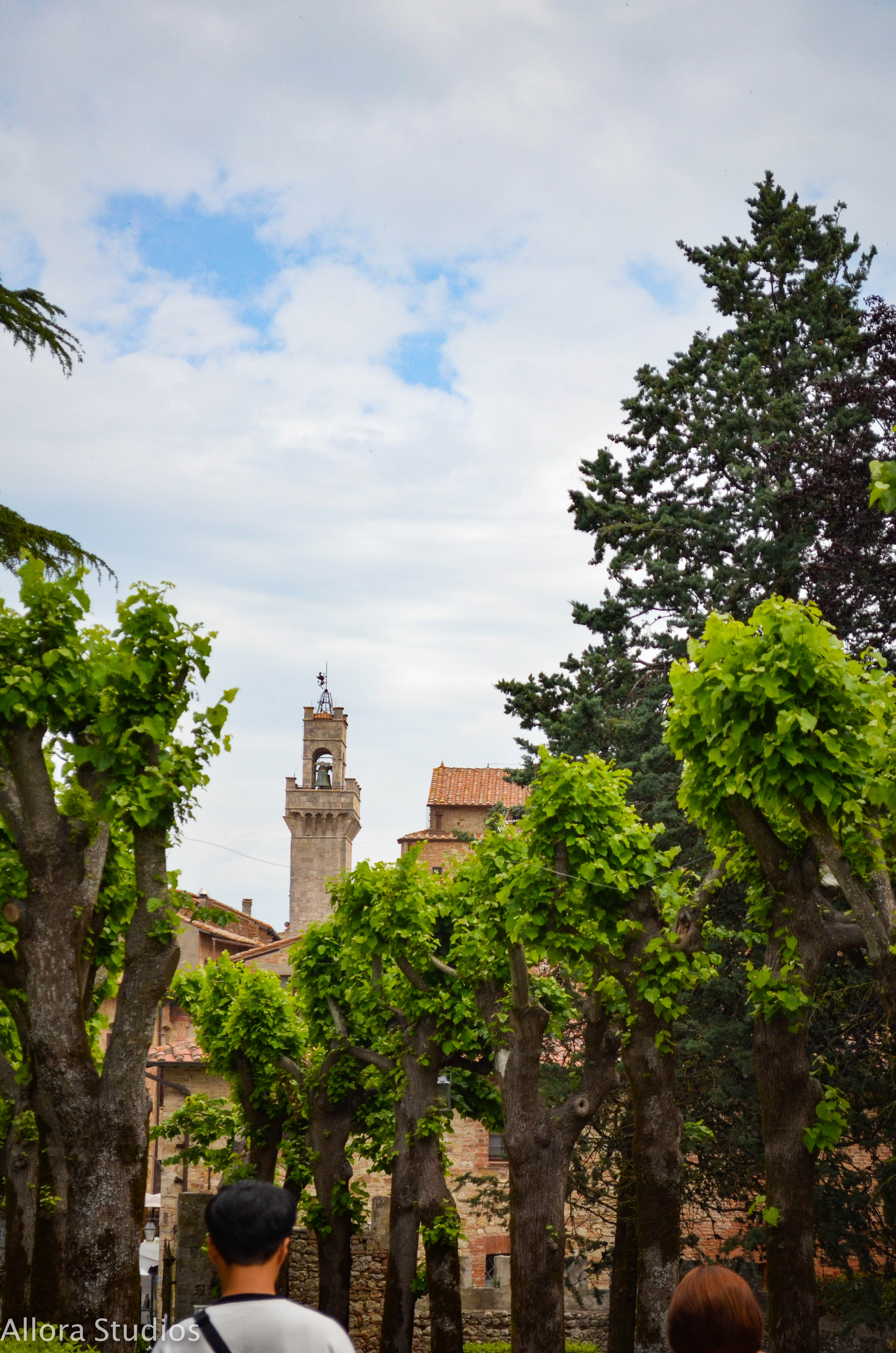 tuscan winery, tuscany, tuscan, tuscana, tuscan wine, tuscan winery, vino tuscano, vino tuscana, vino, osteria, italy, italian, italian winery, italiano, italiana, italia, travel photography, travel, travel hack, travel hacking, travel affordability, affording travel, budget traveling, traveling, world traveling, photographer, travel photographer, photography, travel photography, atlanta photography, atlanta photographer, architectural photography, architectural photographer, italian photography, photography italia, allora studios,