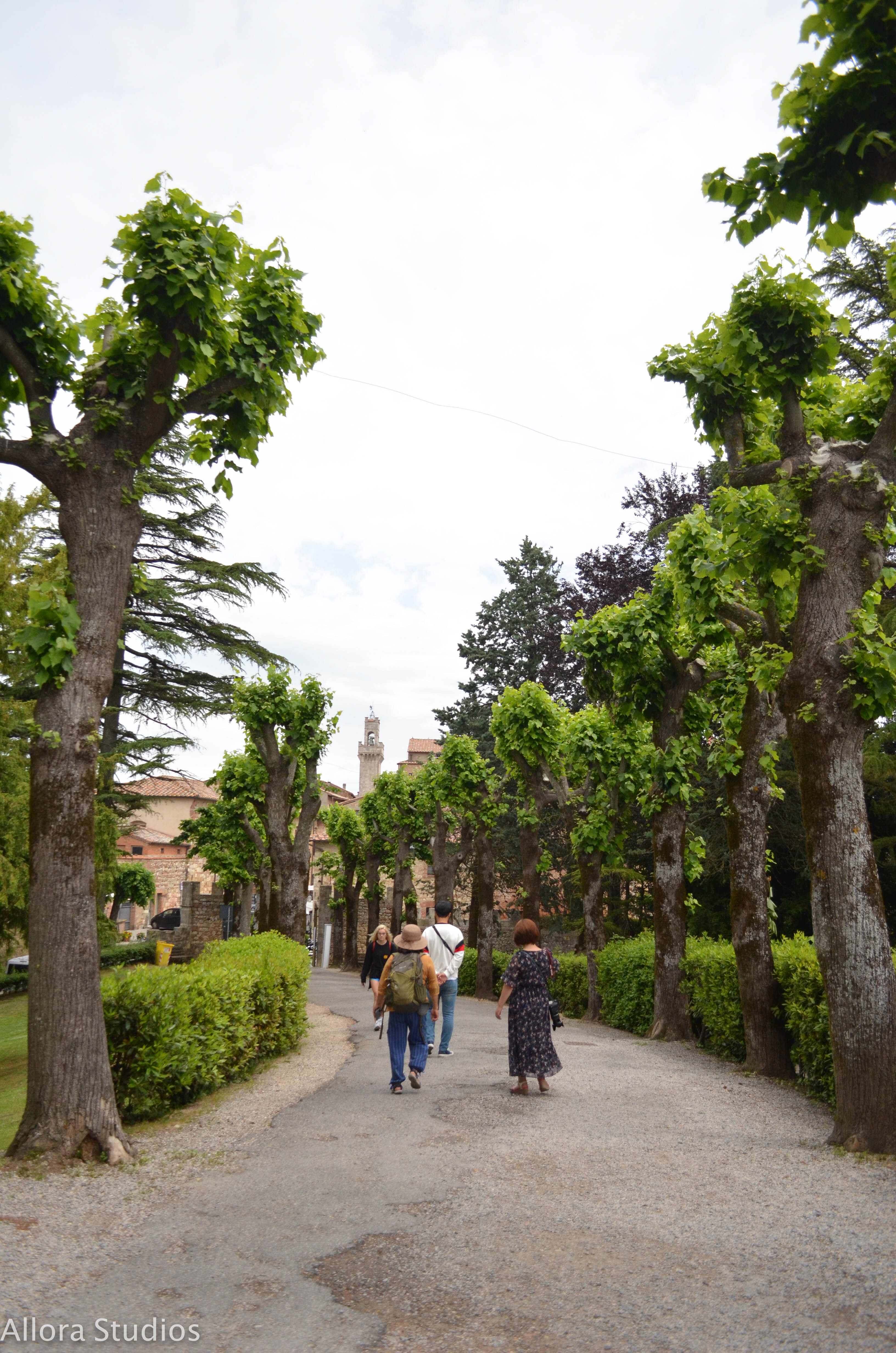 tuscan winery, tuscany, tuscan, tuscana, tuscan wine, tuscan winery, vino tuscano, vino tuscana, vino, osteria, italy, italian, italian winery, italiano, italiana, italia, travel photography, travel, travel hack, travel hacking, travel affordability, affording travel, budget traveling, traveling, world traveling, photographer, travel photographer, photography, travel photography, atlanta photography, atlanta photographer, architectural photography, architectural photographer, italian photography, photography italia, allora studios,