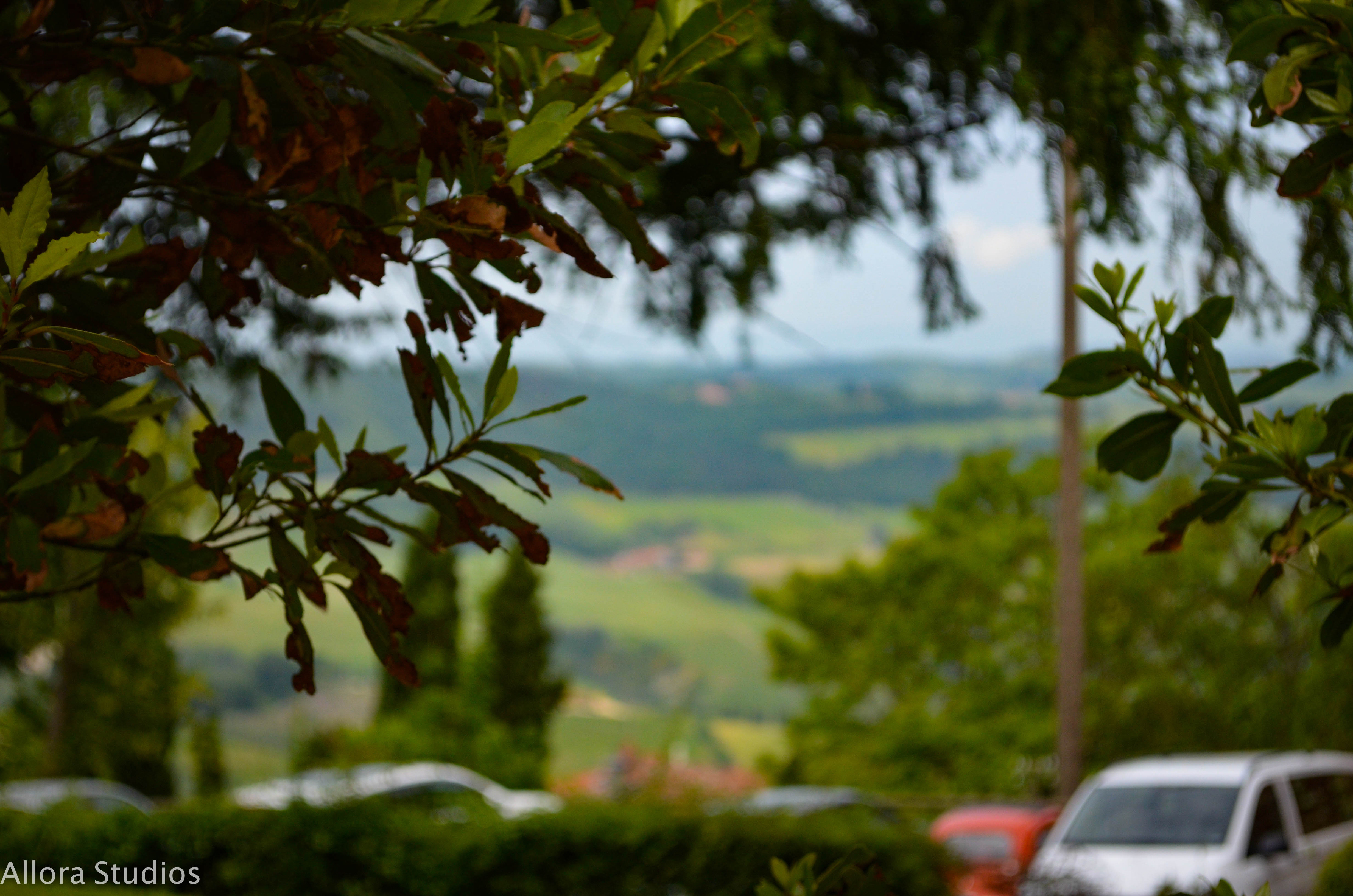 tuscan winery, tuscany, tuscan, tuscana, tuscan wine, tuscan winery, vino tuscano, vino tuscana, vino, osteria, italy, italian, italian winery, italiano, italiana, italia, travel photography, travel, travel hack, travel hacking, travel affordability, affording travel, budget traveling, traveling, world traveling, photographer, travel photographer, photography, travel photography, atlanta photography, atlanta photographer, architectural photography, architectural photographer, italian photography, photography italia, allora studios,