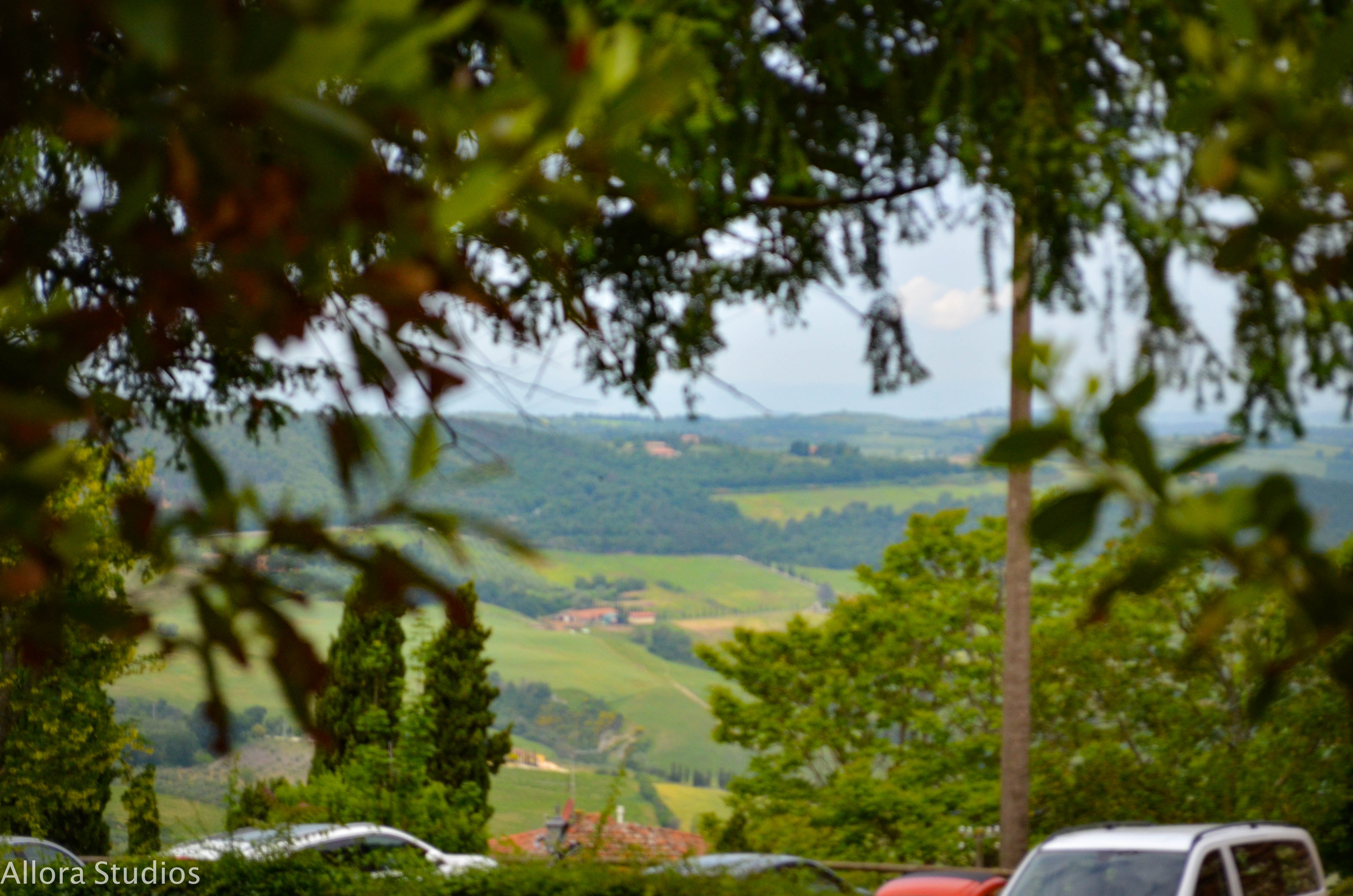 tuscan winery, tuscany, tuscan, tuscana, tuscan wine, tuscan winery, vino tuscano, vino tuscana, vino, osteria, italy, italian, italian winery, italiano, italiana, italia, travel photography, travel, travel hack, travel hacking, travel affordability, affording travel, budget traveling, traveling, world traveling, photographer, travel photographer, photography, travel photography, atlanta photography, atlanta photographer, architectural photography, architectural photographer, italian photography, photography italia, allora studios,