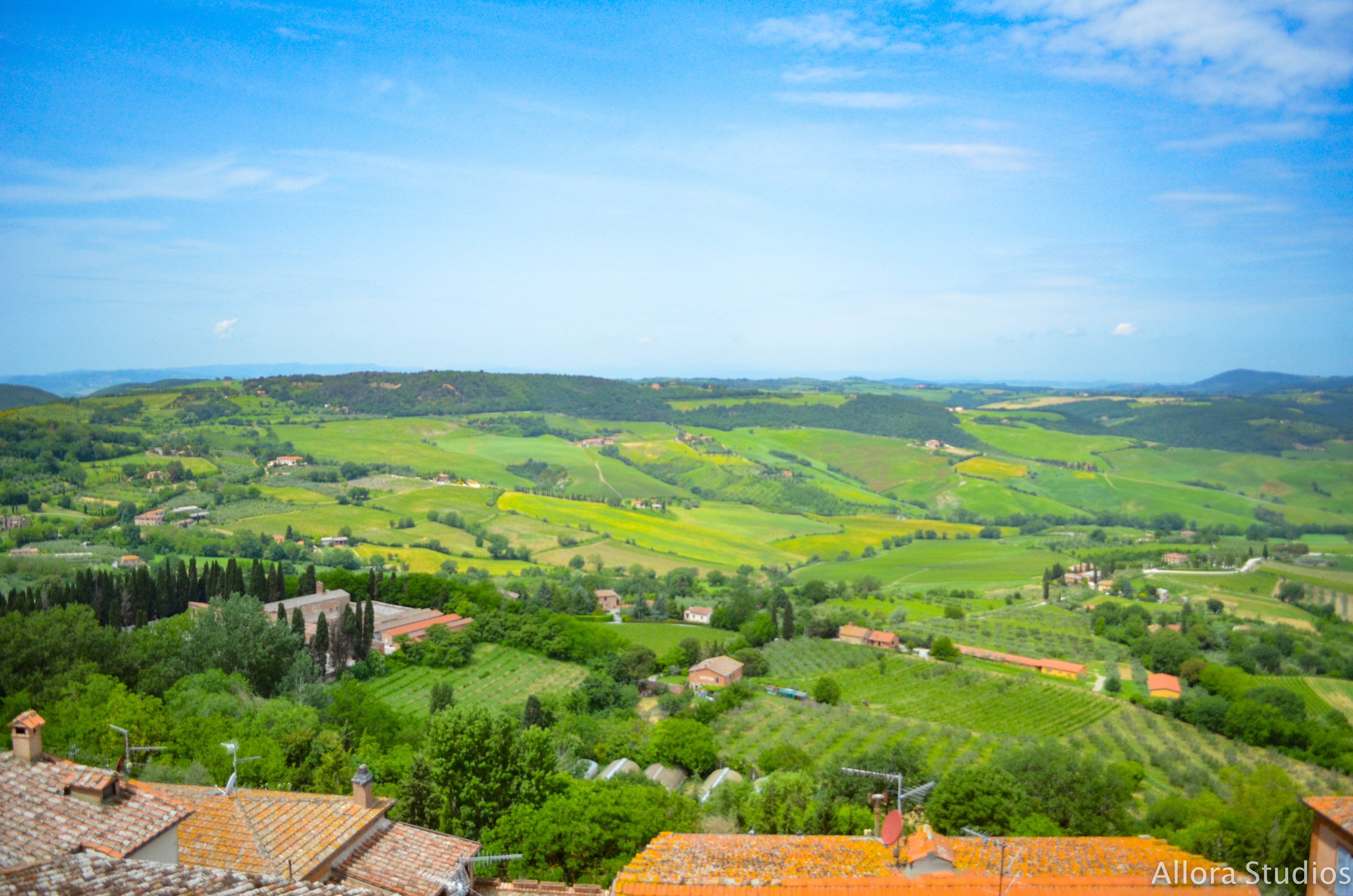 tuscan winery, tuscany, tuscan, tuscana, tuscan wine, tuscan winery, vino tuscano, vino tuscana, vino, osteria, italy, italian, italian winery, italiano, italiana, italia, travel photography, travel, travel hack, travel hacking, travel affordability, affording travel, budget traveling, traveling, world traveling, photographer, travel photographer, photography, travel photography, atlanta photography, atlanta photographer, architectural photography, architectural photographer, italian photography, photography italia, allora studios, skyline, horizon, tuscan horizon,