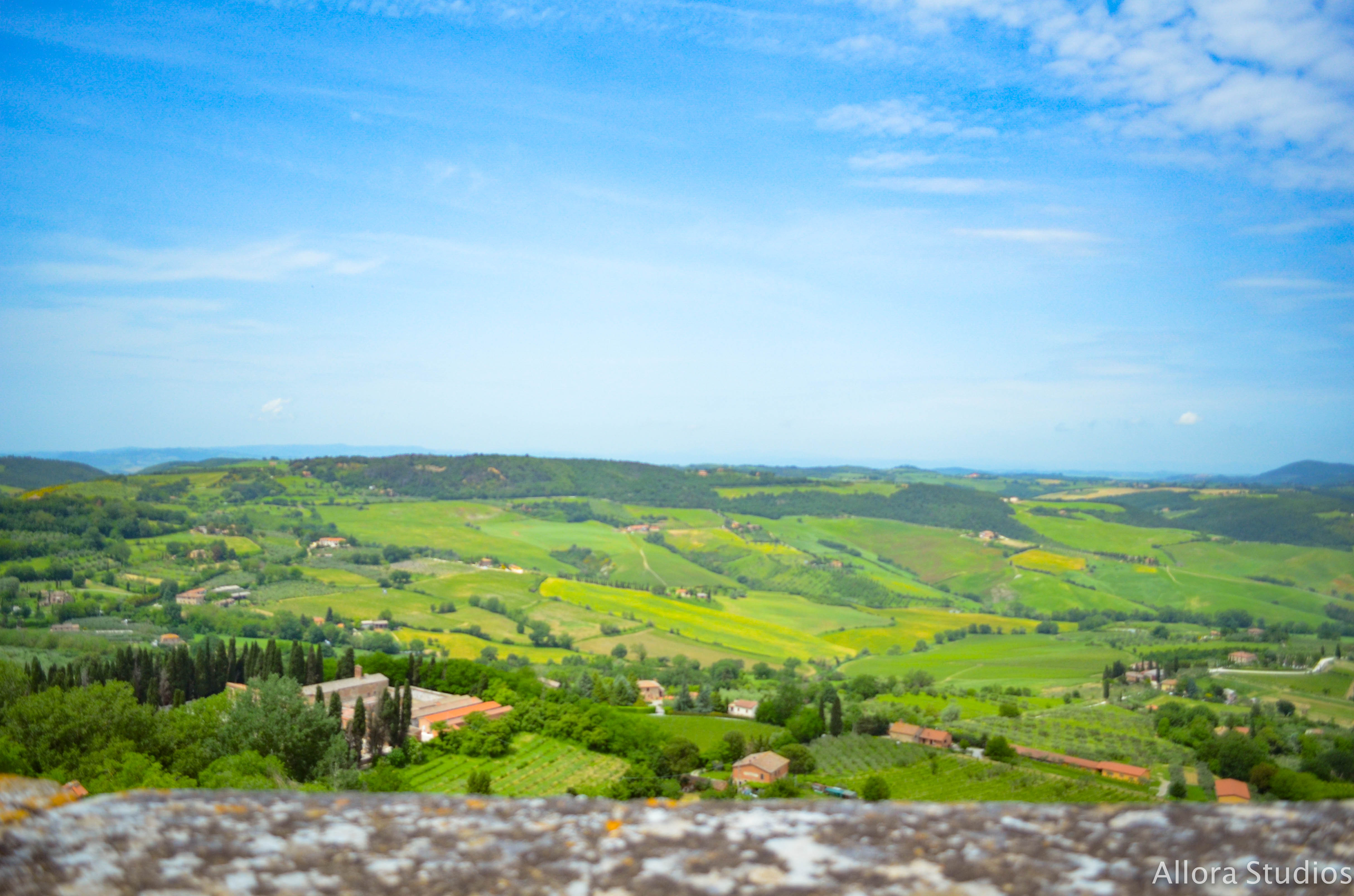 tuscan winery, tuscany, tuscan, tuscana, tuscan wine, tuscan winery, vino tuscano, vino tuscana, vino, osteria, italy, italian, italian winery, italiano, italiana, italia, travel photography, travel, travel hack, travel hacking, travel affordability, affording travel, budget traveling, traveling, world traveling, photographer, travel photographer, photography, travel photography, atlanta photography, atlanta photographer, architectural photography, architectural photographer, italian photography, photography italia, allora studios, skyline, horizon, tuscan horizon,